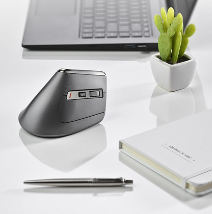 Mouse Ngs Wireless Ergo Gaming Rgb Evo Karma Vertical